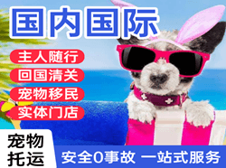 无锡硕放航空快递国际宠物托运 【国
